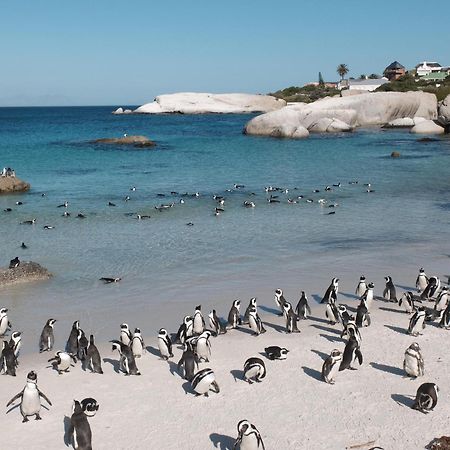 Penguin Haven . Luxury 2 bedroom, Boulders Beach. Kaapstad Buitenkant foto